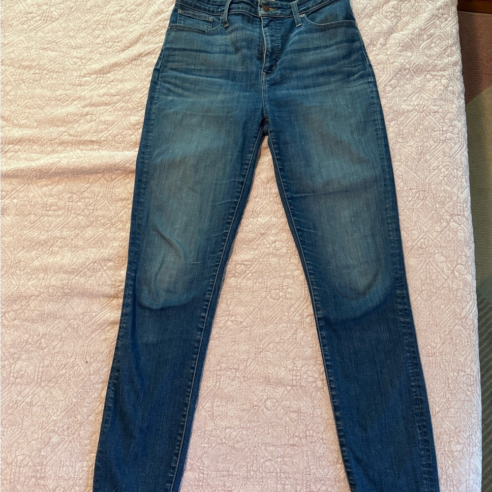 Madewell Blue Skinny Jeans